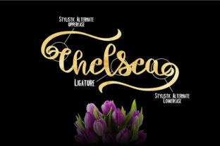 Chelsea Font: A Designer’s Take on Hand-Lettered Script