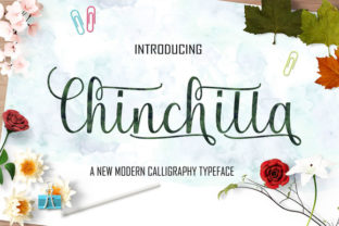 Chinchilla: A Smooth, Luxury-Driven Typeface for Marketers