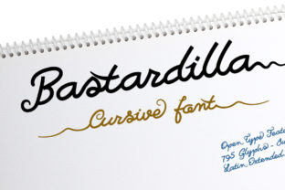 Discover Bastardilla: A Versatile Handwritten Font for Branding