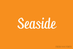 Elevate Your Brand with Seaside: A Premium Script Font