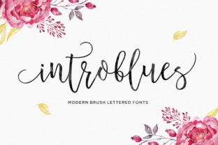 Enhance Your Brand with Introblues Script Font