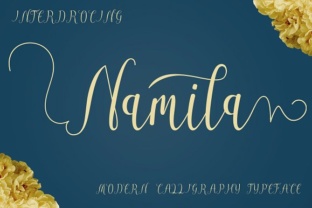 Namila Font: Elevating Small Business Branding