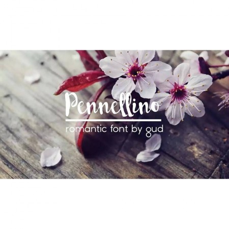 Transform Your Brand with Pennellino: A Perfect Brush Typeface