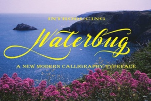 Waterbug Font Review: A Handwritten Typeface for Organic Branding